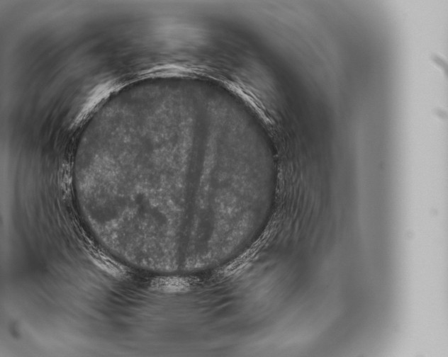 X0000096491355200802141736