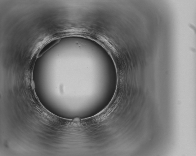 X0000096491357200802141736