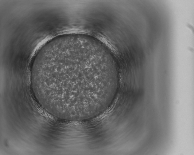 X0000096491358200802141736