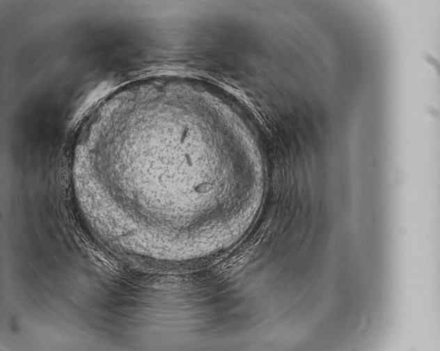 X0000096491359200802141736