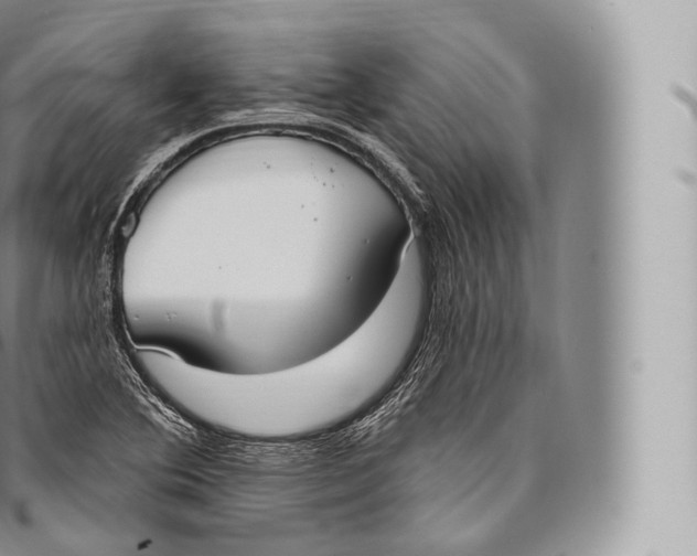 X0000096491364200802141736