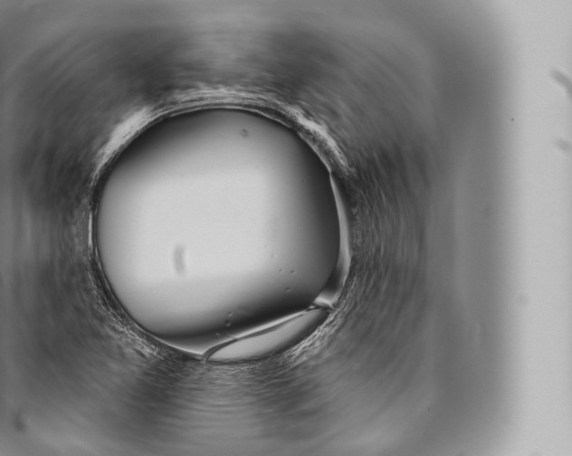 X0000096491365200802141736