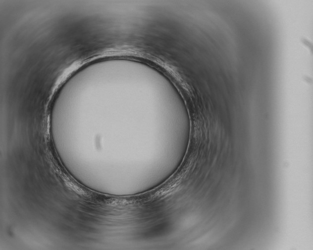 X0000096491366200802141736