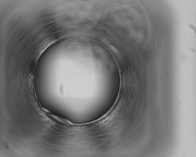 X0000096491369200802141736