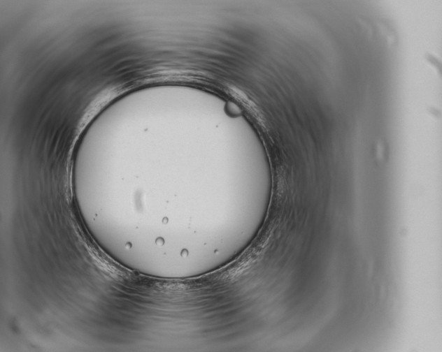 X0000096491370200802141736