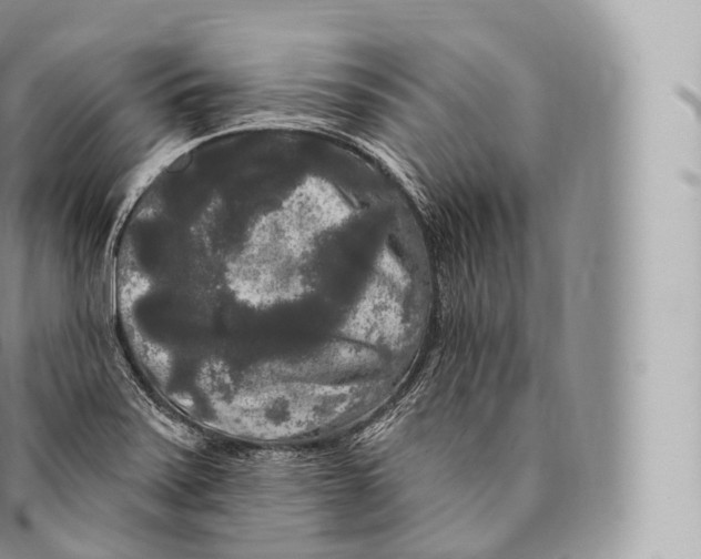 X0000096491371200802141736