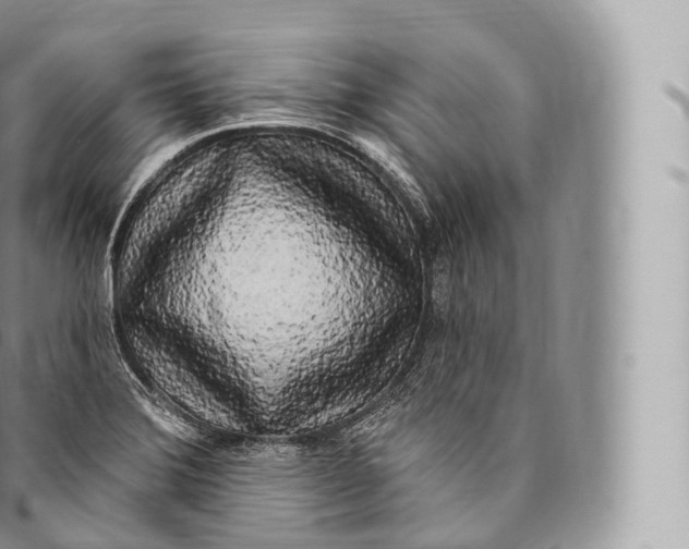 X0000096491372200802141736