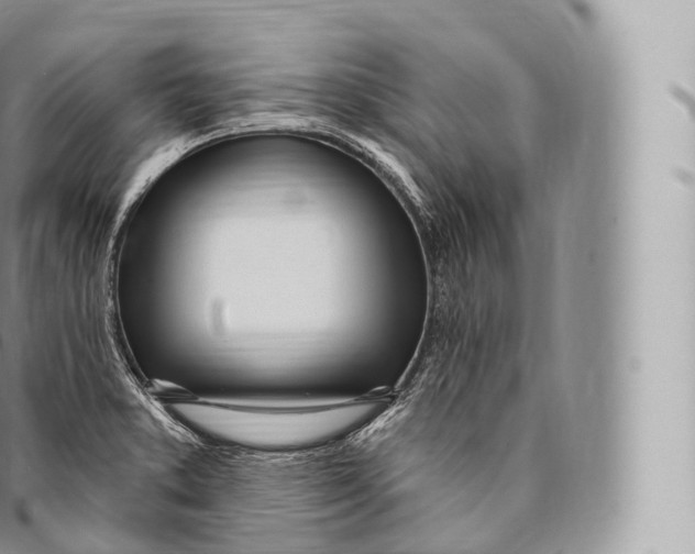 X0000096491373200802141735