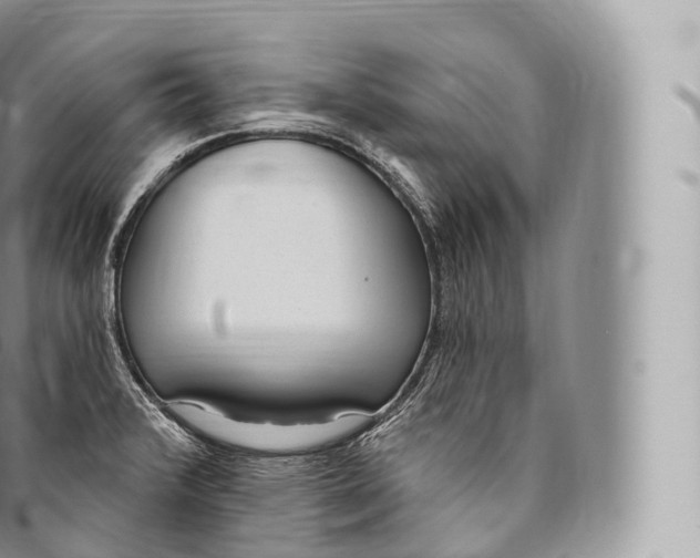 X0000096491376200802141735