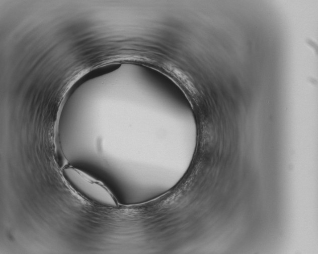 X0000096491377200802141735