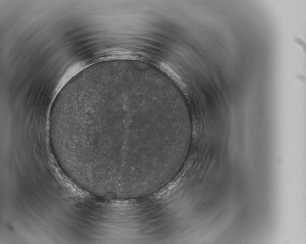 X0000096491378200802141735