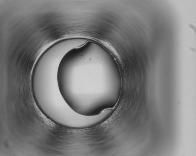 X0000096491380200802141735