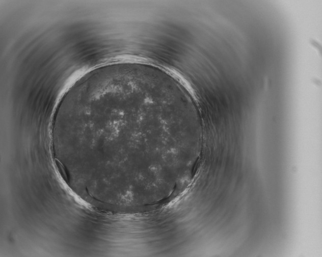 X0000096491381200802141735