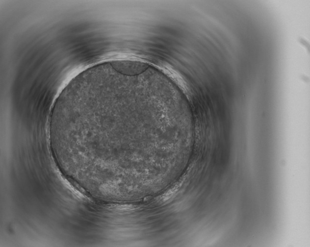 X0000096491382200802141735