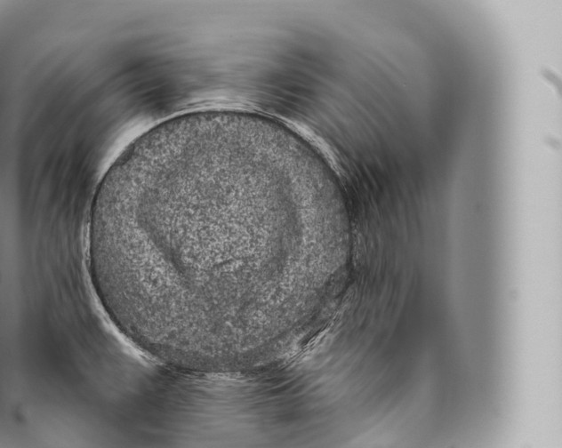 X0000096491383200802141735