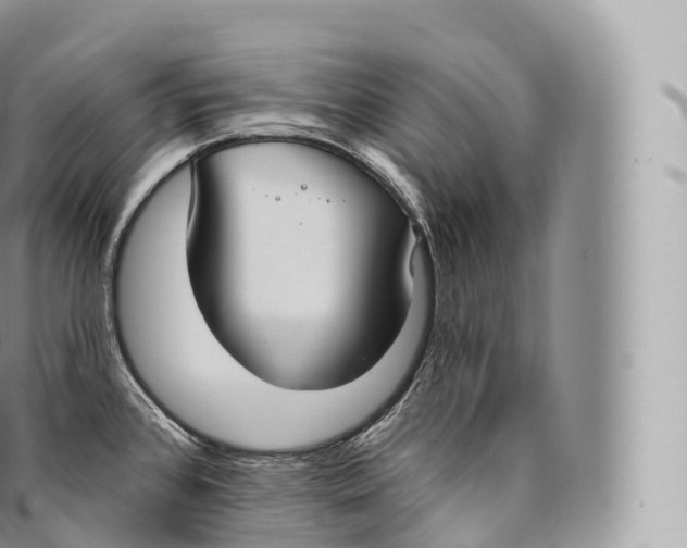 X0000096491384200802141735