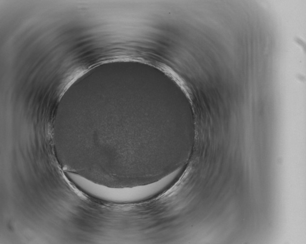 X0000096491385200802141735