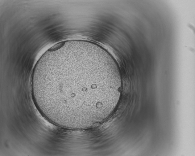 X0000096491387200802141735