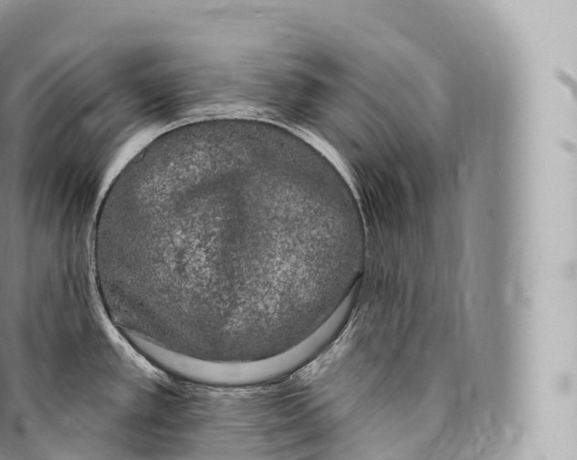 X0000096491389200802141735