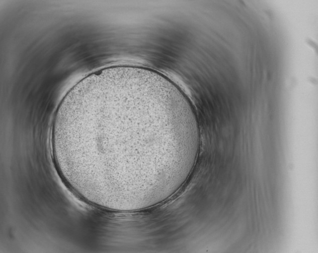 X0000096491391200802141735