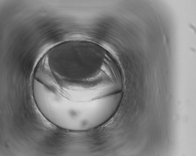 X0000096491392200802141735