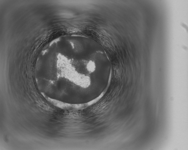 X0000096491393200802141734