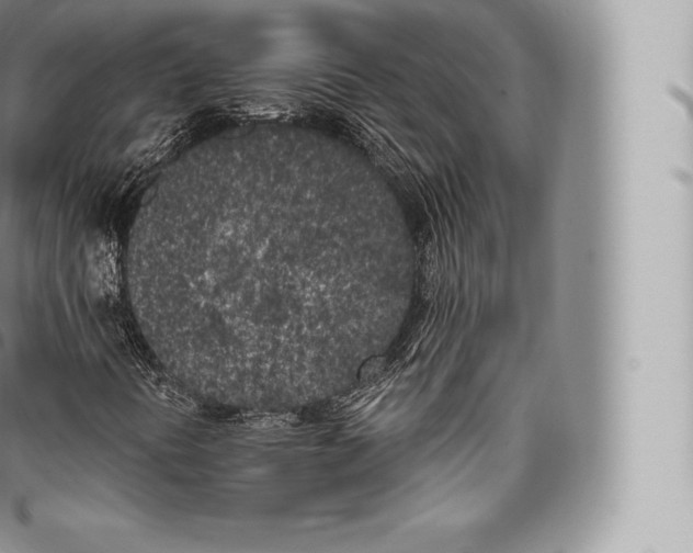 X0000096491394200802141734