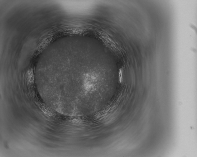 X0000096491395200802141734