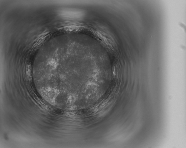 X0000096491396200802141734