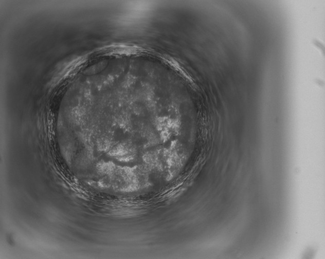 X0000096491399200802141734