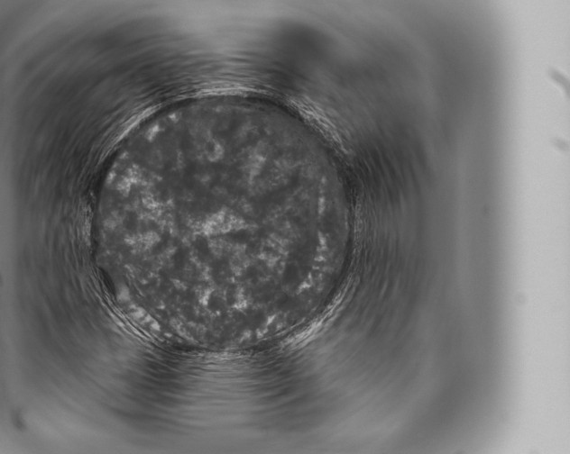 X0000096491401200802141734