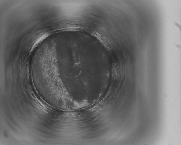 X0000096491402200802141734