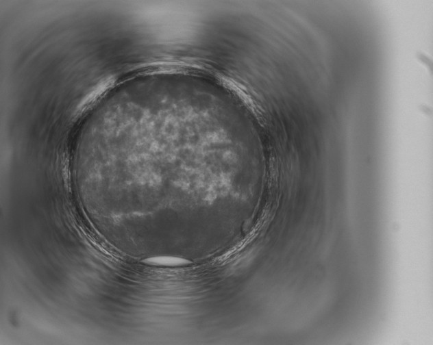 X0000096491403200802141734