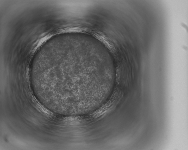 X0000096491404200802141734