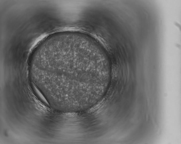 X0000096491406200802141734