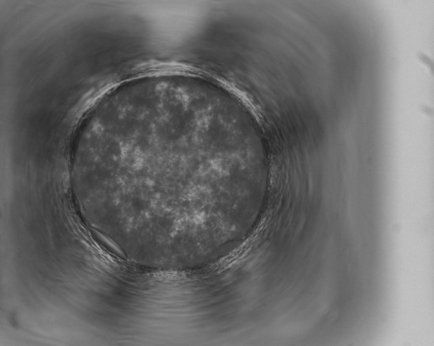 X0000096491407200802141734