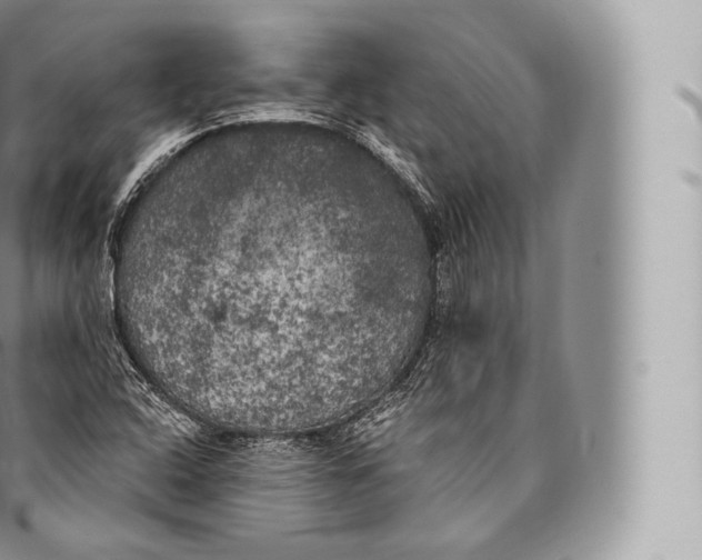 X0000096491408200802141734