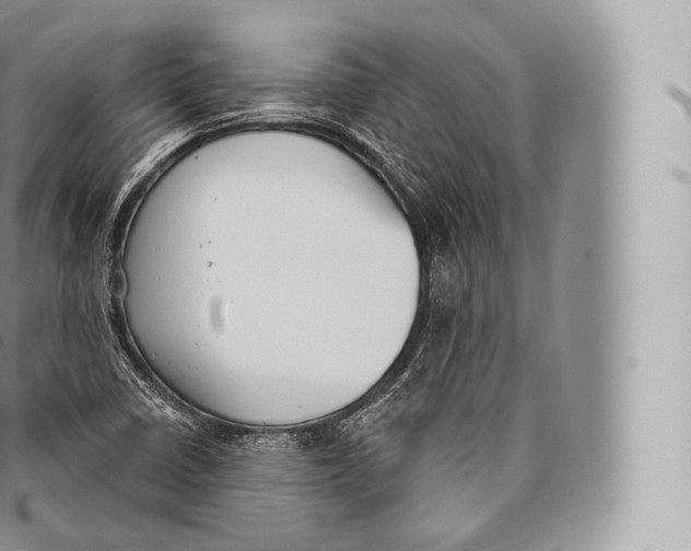 X0000096491410200802141734