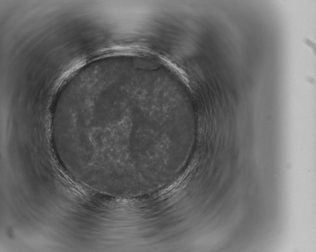 X0000096491411200802141734