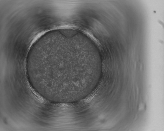 X0000096491412200802141735