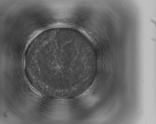 X0000096491413200802141735