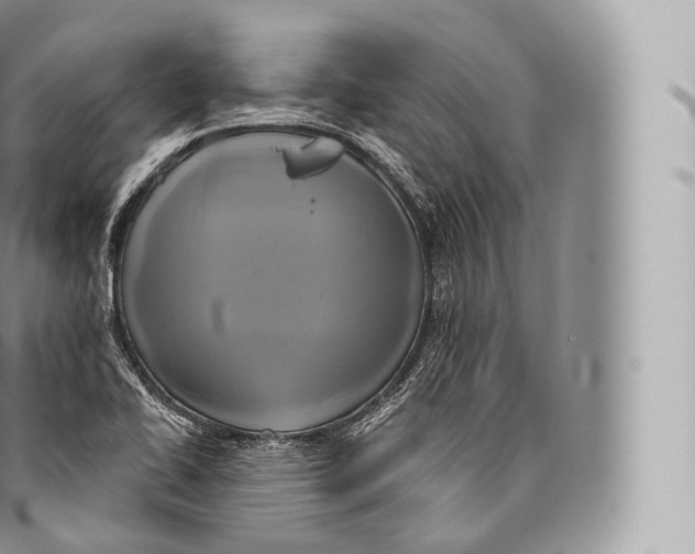 X0000096491414200802141735