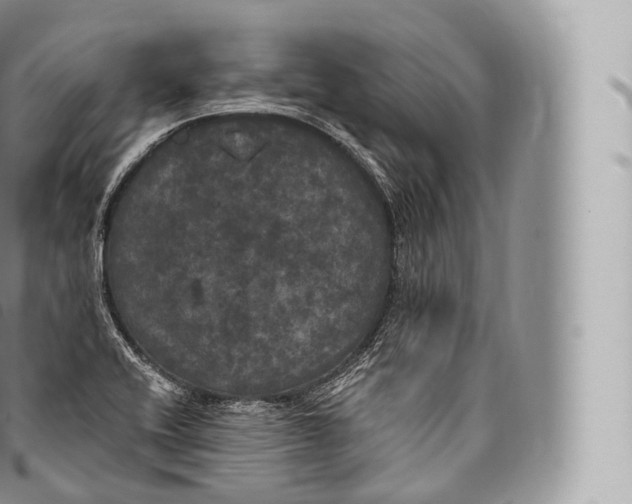 X0000096491416200802141735