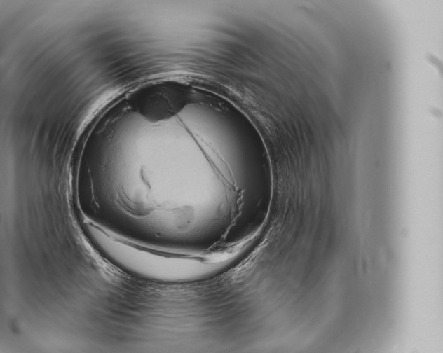 X0000096491418200802141735