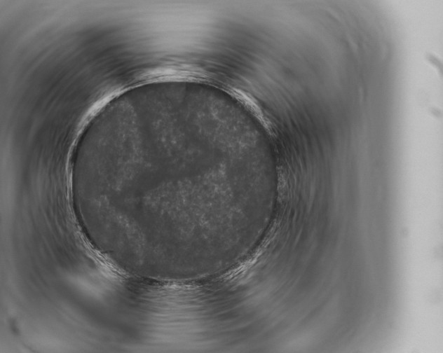 X0000096491419200802141735