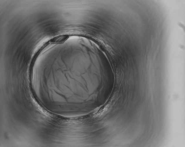 X0000096491422200802141735