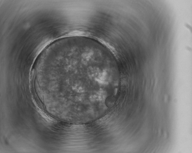 X0000096491423200802141735