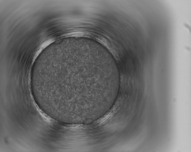 X0000096491426200802141735