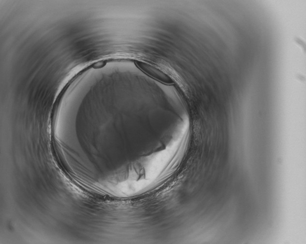 X0000096491428200802141735