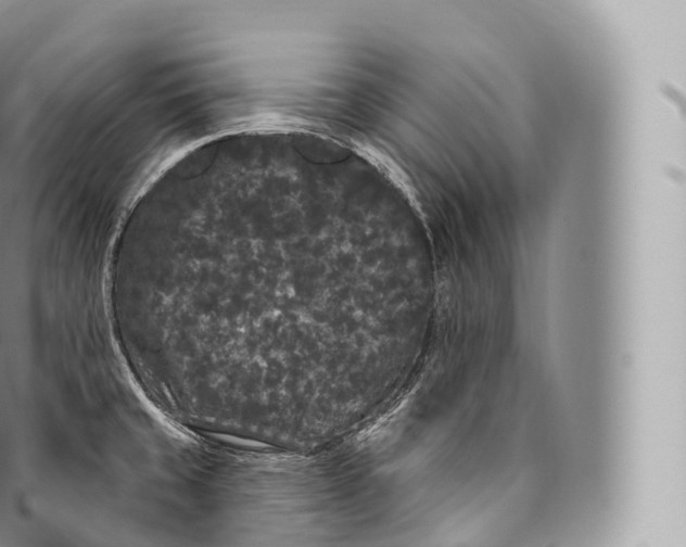 X0000096491429200802141735